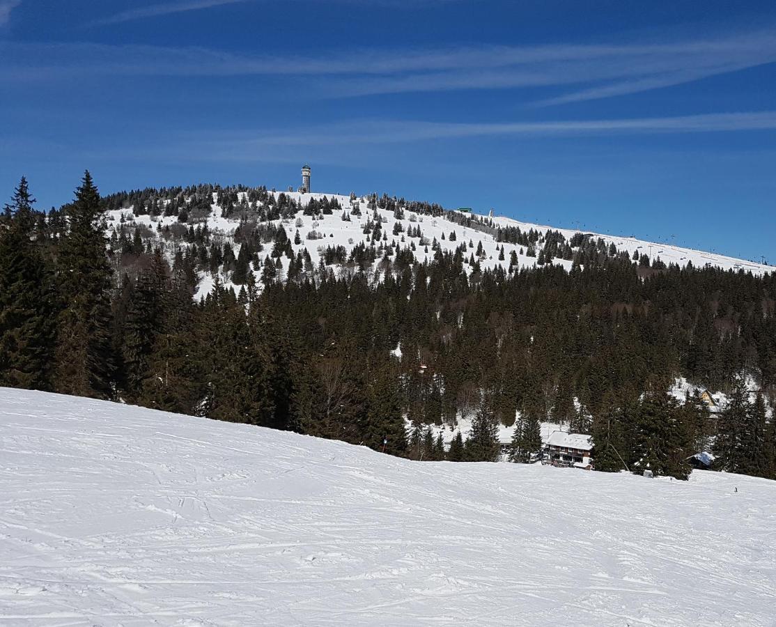 Enjoy Ferienwohnung Feldberg Grafenmatt Luaran gambar