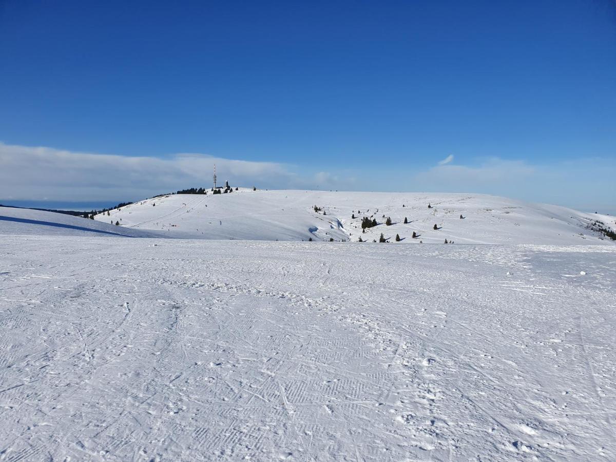 Enjoy Ferienwohnung Feldberg Grafenmatt Luaran gambar